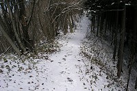 尾根道は雪の道～～
