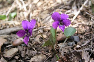 �I�J�X�~��