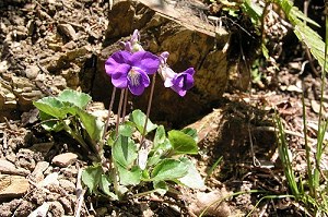 �j�I�C�^�`�c�{�X�~��