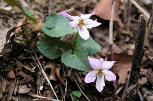 �q�i�X�~��