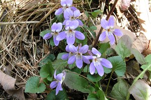 �^�`�c�{�X�~��