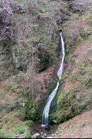 ��؂̔������Ȋ�̑�B