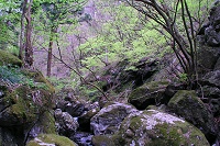 �V�΂��Y��ȓȊ��B