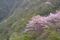 �V�΂ƎR���H���������`