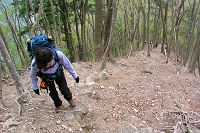 �������ɏ���}�o�͊����܂��E�E�E