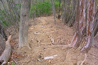 ����͍Ō�܂ŋ}�X�΂̘A���ł���(+_+)