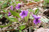 �o�R���ɃI�J�X�~���������ς��B