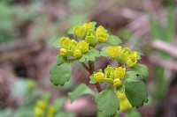 �R�K�l�l�R�m���\�E