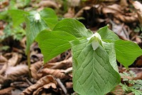 �~���}�G�����C�\�E