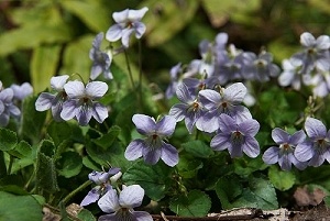 �^�`�c�{�X�~��