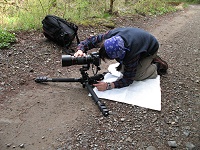 ��Ԗ{�i�I�ɎB�e���Ă���Ԍ�����B�@