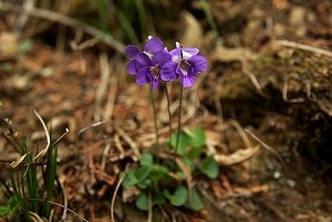 �j�I�C�^�`�c�{�X�~��