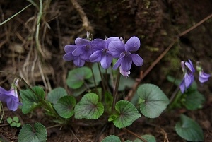 �A�J�t�^�`�c�{�X�~��