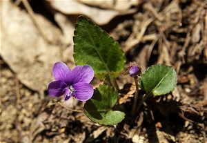 �I�J�X�~��