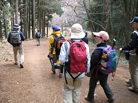 �]���]���Ɣ���������܂��B