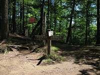 ���c�ΎR�A�_��R�̕���B