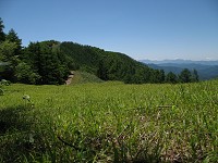 ���������͑�����ɂȂ菋���Ȃ���Β��Q�o���������B