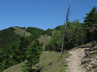 ����ɋN��������������ɂȂ��Ă����B��ԍ����Ƃ��낪�_��R�̂悤���I�H