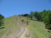 �R�������B���̋}������΁I�I