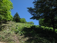 ���c�ΎR�ւ̋}�o�I�@��ꂽ���ɂ̓L�c�C�ł��I�I