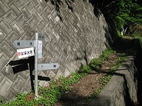 ������z���班�������Ɩ{���̓o�R��������B�F���ӂ̊ŔɃh�L���Ƃ�������B