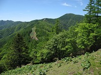 �U��Ԃ�Ɖ_��R�ւ̔�������������B