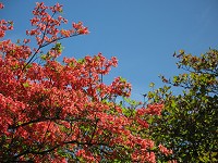 �N�₩�ł��I�I