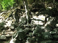 �}���V��B�悭�}���V���Z�ݒ����炵���E�E�E�B