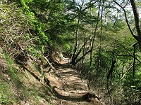 ����ȍ⓹���삯���ŉ���I�I