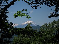 ���щz�����Y��ȕx�m�R�������Ă����B