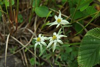 �~���}�E�X���L�\�E