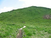 �������R�ɂȂ�Ɩڂ̑O�ɒj�x�������Ă���B