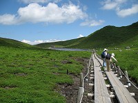 �ؓ��̌������Ɉ���ɒr��������B�����j���x�A�E�����x�ƂȂ�B