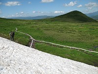 �����t�߂����y���̎����B