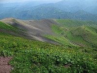 ��č��̔����ƃ��[�~���J����ՁB