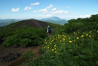 �ĐX�R�֗Ő��B