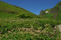 ���ɕ�ɂȂ��Ă���ꏊ������i��������B