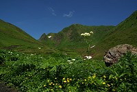 ���[�~���J�����n���Ƃ���Ȋ����B