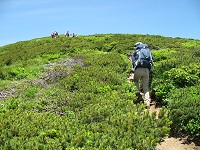 �n�C�}�c�̓��̓A���v�X�ۂ��ėǂ��ł��B