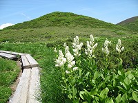 �R�o�C�P�C�\�E���Ő����ł����B