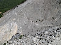 �U���������B