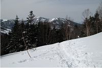 ���X�W�]�������ꏊ�ŕ����m�F�B