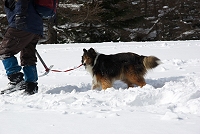 ���̌��A��̃n�C�J�[���ǂ����Ă����B