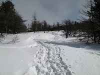 �g���[�X�͂���������Ă���̂Ŗ������Ƃ͂Ȃ��������B