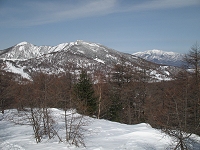 �U��Ԃ�ƘU�̓o�R�A���̓��R�A�����l���R�������Ă����B