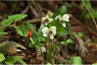 �q�J�Q�X�~���B