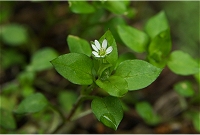 �~���}�n�R�x�B