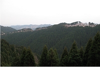 ��Ζʂ��؂�J����Ĉ꒚���`�����R�̗Ő������n����B�Ő��̔����ۂ��͍̂����B