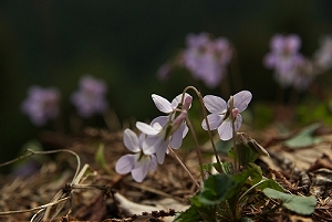 �^�`�c�{�X�~��