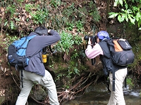 ���}�����\�E���B��kazu����Ԍ�����B